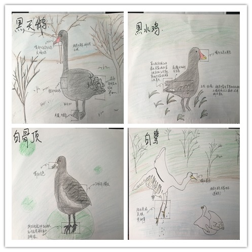 自然笔记