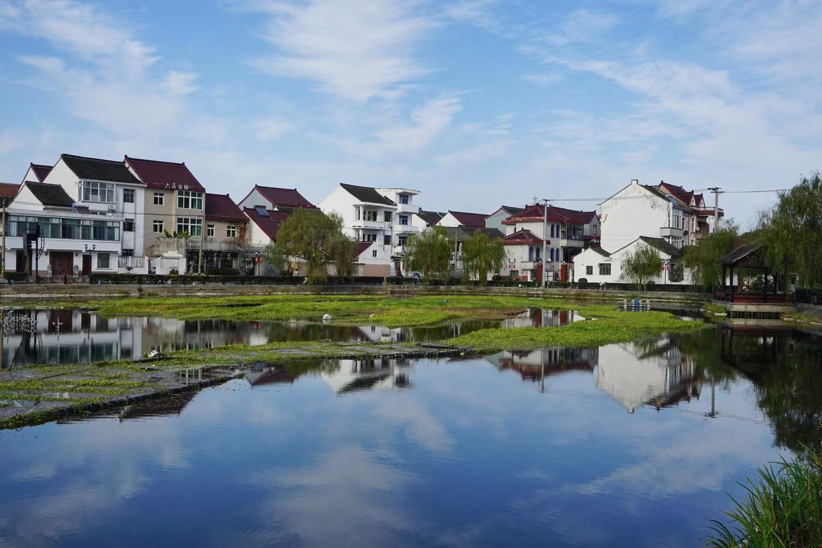 发现乡村之美2021年上海市金山中学教职工主题微摄影大赛