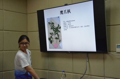 调整大小 4