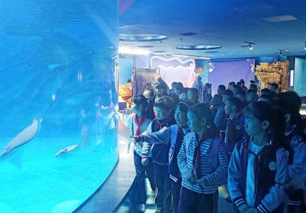 “秋日探趣行，实践乐满心”——金山区兴塔小学秋季社会实践暨全员导师活动简讯