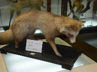 三楼