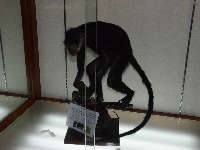 三楼